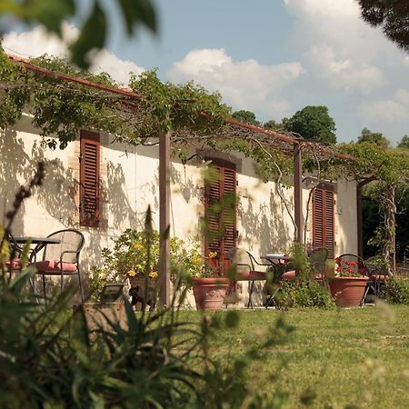 Agriturismo Bio Aia Della Colonna Сатурния Экстерьер фото