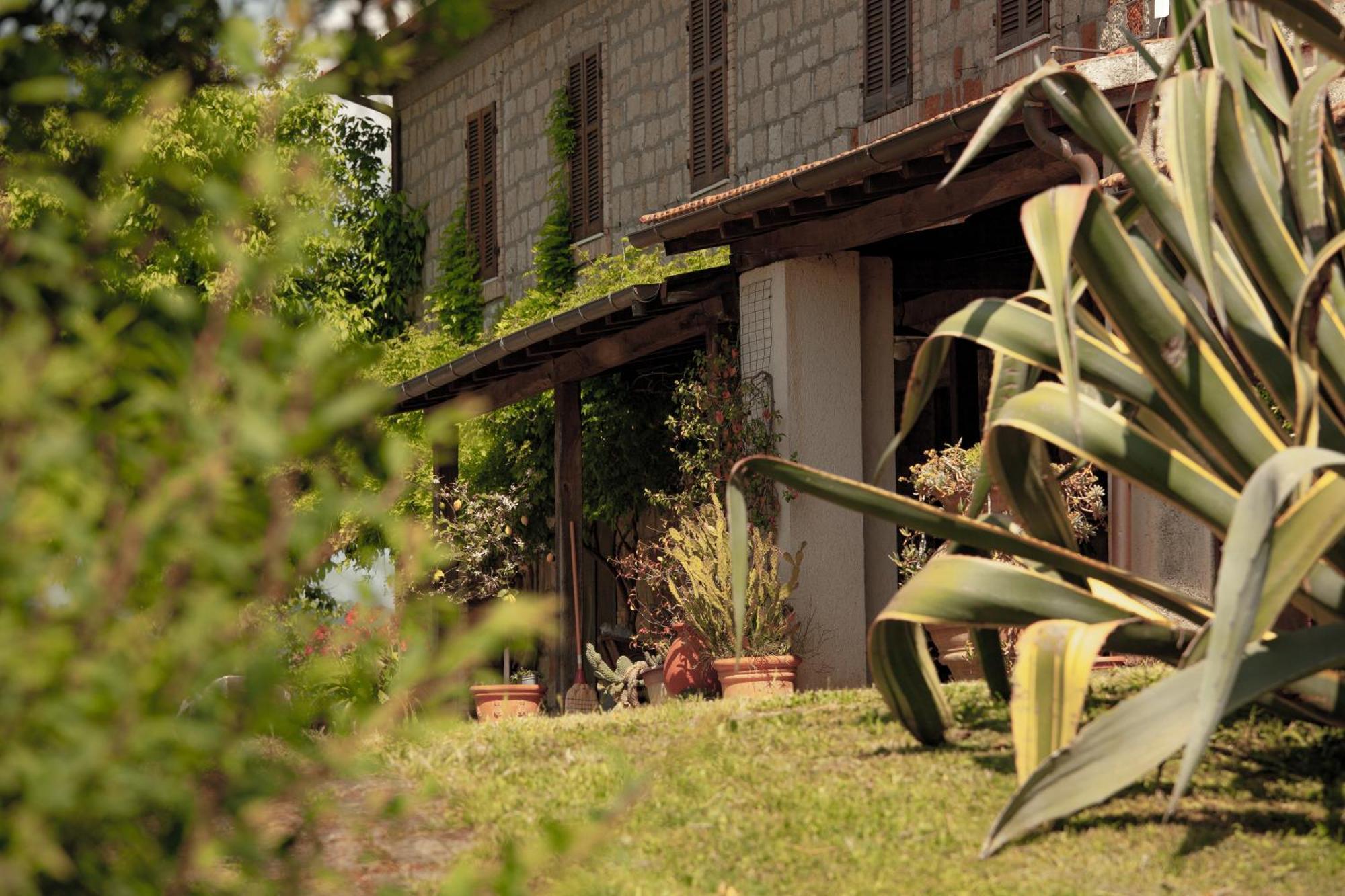 Agriturismo Bio Aia Della Colonna Сатурния Экстерьер фото